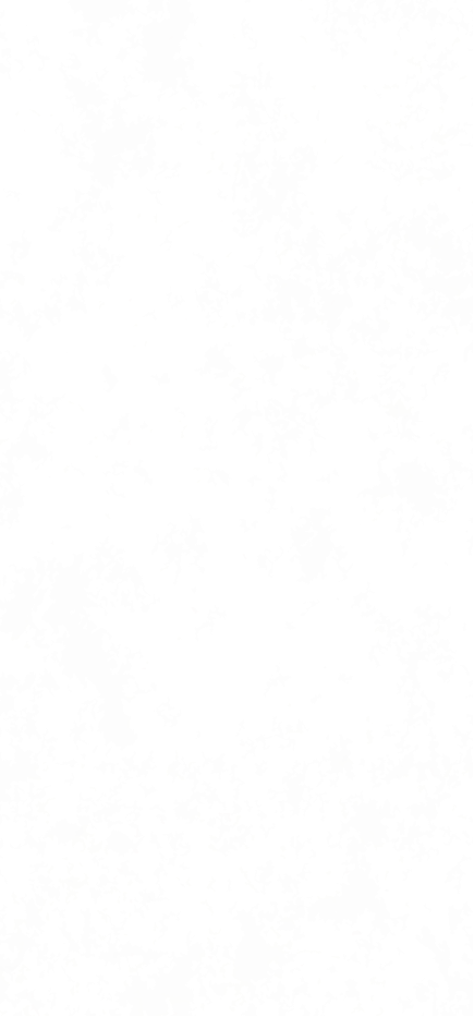 Quiz-Hintergrund
